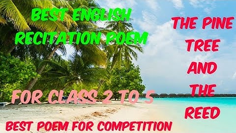 English Poem- The Pine tree And the Reed