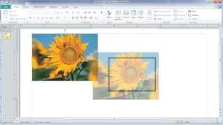 Crop and Size pictures in MS Publisher