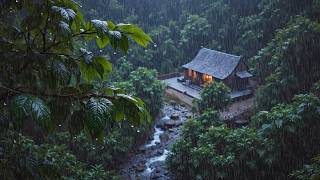 Listen To The Rain On Forest Leaves For Relax, Reduce Anxiety And Sleep Deeply | The Best 1 Hour screenshot 5
