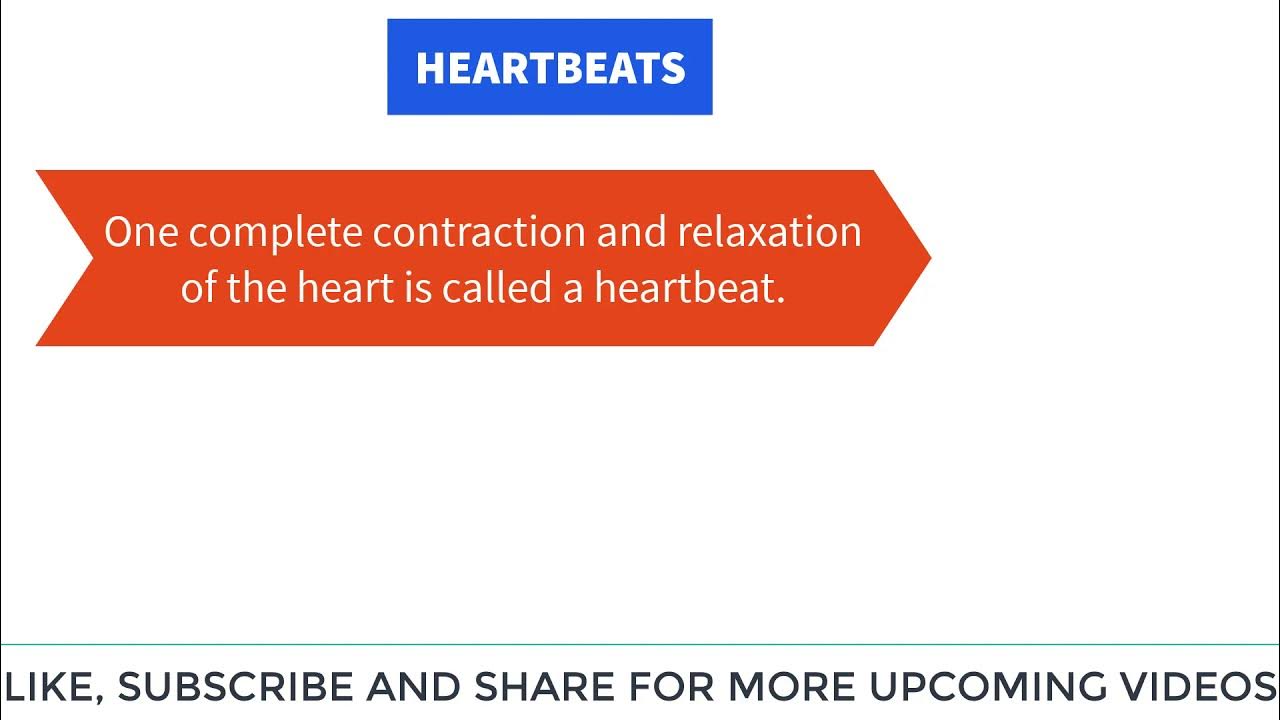 Heartbeat and Pulse rate class 7 Define Heartbeat and Pulse rate