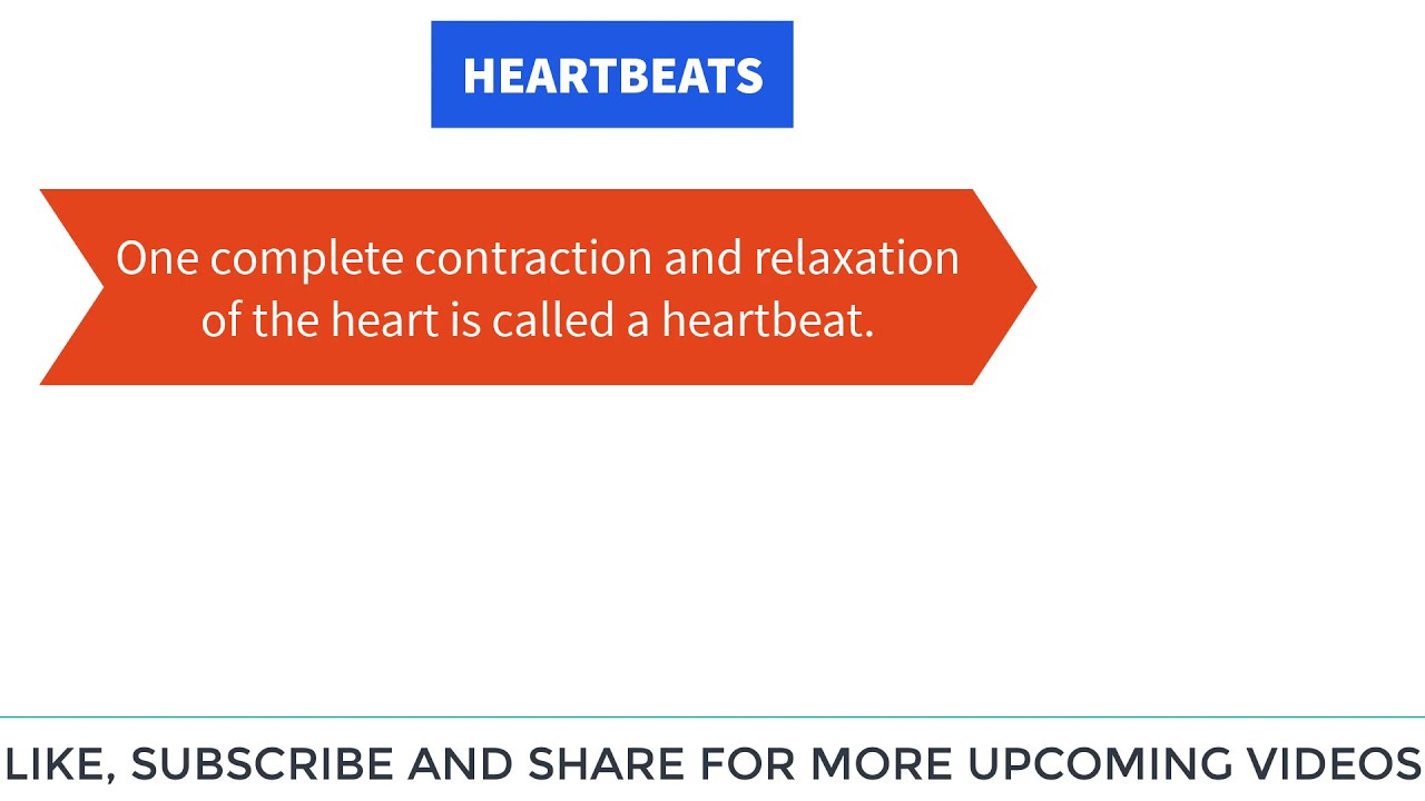 Heartbeat And Pulse Rate Class 7 Define Heartbeat And Pulse Rate Heartbeat And Pulse Rate Class 7 Define Heartbeat And Pulse Rate