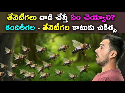 Honey Bee Bite Treatment in Telugu | Tenetigalu Kudite Em Cheyali