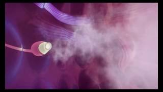 MYSTERIUM MYSTERIA Ti si moj Bog ( video)