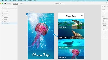 How to Create a Basic Prototype with Adobe XD - Lam