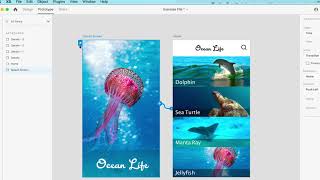 How to Create a Basic Prototype with Adobe XD - Lam