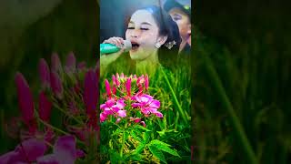 DADI SIJI // STORY