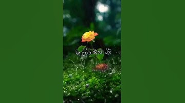 #قران_كريم. #القارئ #ماهر_المعيقلي (سورة القدر#حالات_واتس_اب