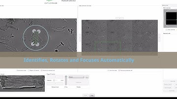 MultiCell Automatic Cell Selection
