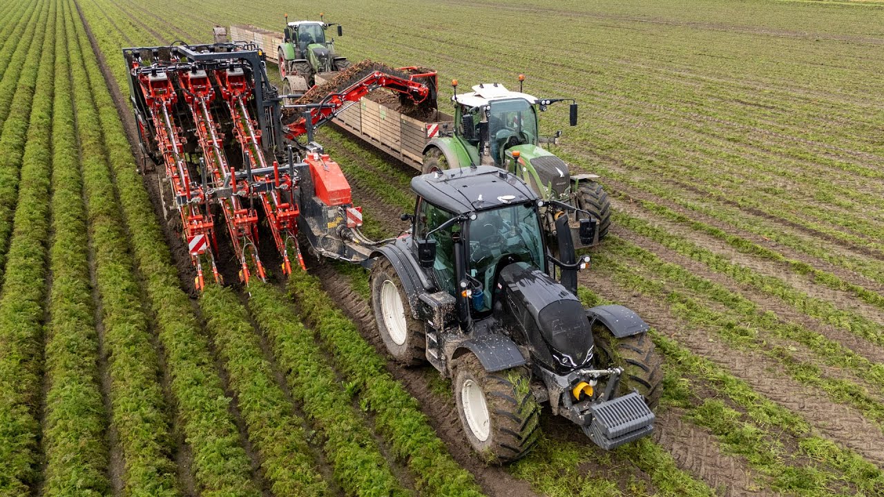 *NEW* Dewulf GK 3 carrot harvester | Valtra & Fendt | Landbouwbedrijf Jan Bakker