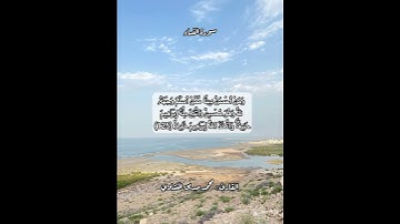 سورة النساء ١٢٥ #قرآن #قرآن_كريم #قران #قران_كريم #قرأن #quran