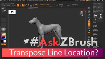 #AskZBrush - "Where is the Transpose Line located in ZBrush?"
