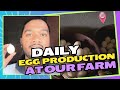 Hamare farm pe roz kitne ande aate hain | Mk & Pk Farm