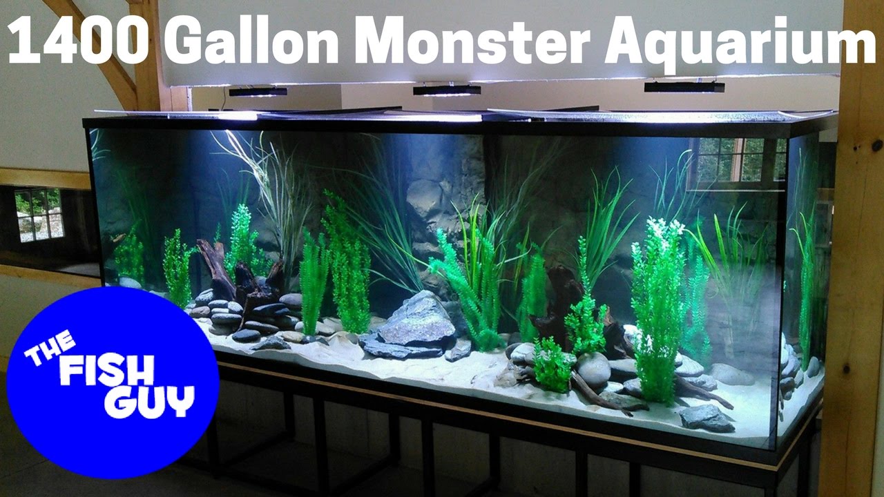 Filtration Upgrade on a Monster 1400 gallon Aquarium! - YouTube