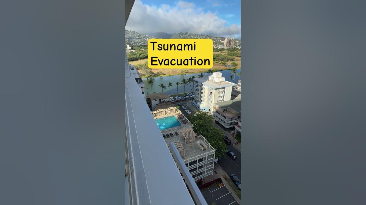 Hi google tsunami