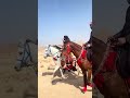 رحله مربط أشواق بالخيل 