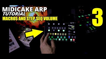 ARP BASICS PT. 3 - Macros and Step Seq Volume  // MIDICAKE ARP TUTORIAL
