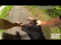 Deltona drug dealer arrest: 6/12/26