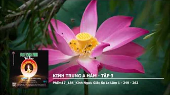 Tập 3 – Phẩm17–184–K.Ngưu Giác Sa La Lâm 1 – 249 – 262 