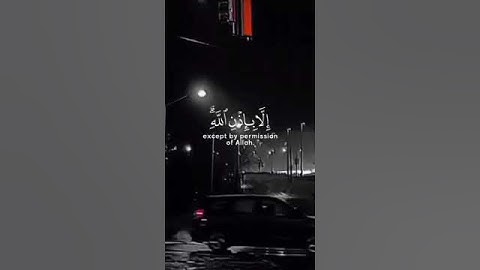 رعد الكردي(ما تيسر من سورة التغابن)