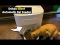 Dokoo 15l auto vacuumsealed cat feeder best pet feeder yet  gadgetify