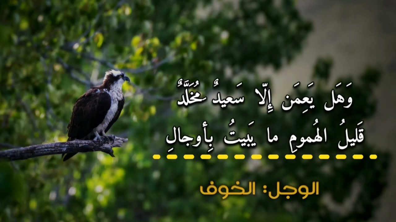 ألا عم صباحا أيها الطللُ البالي | امرؤ القيس | حداء : أسامة النهاري