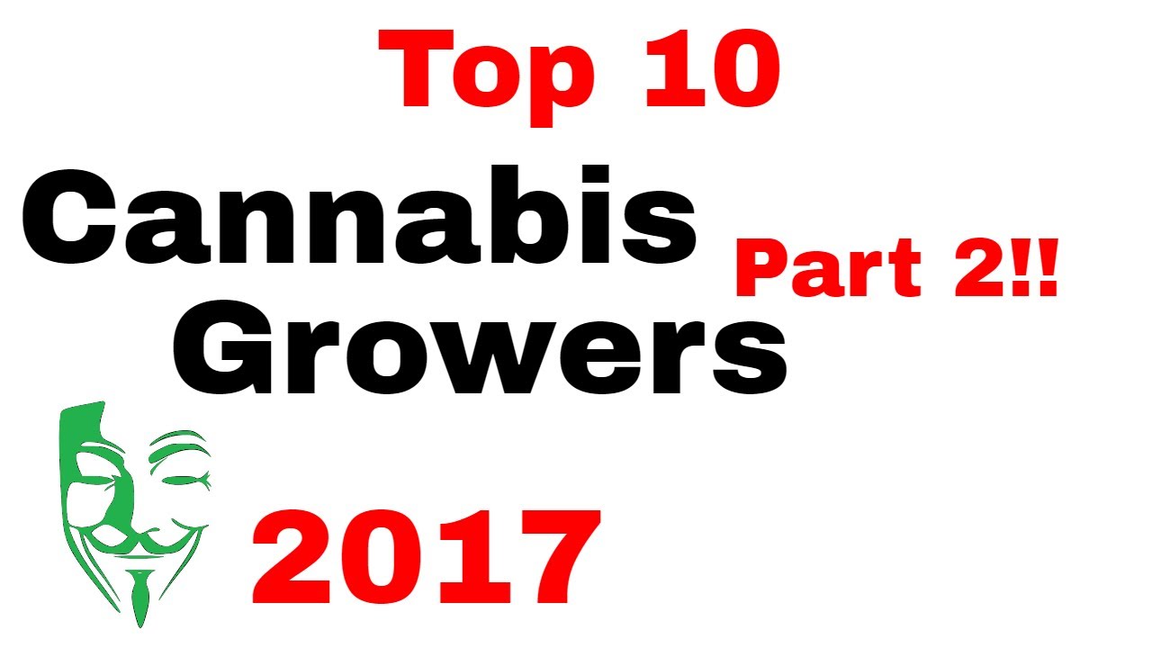 Top 10 Cannabis growers on YouTube 2017!!! The BEST Weed growers PART 2