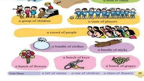 Bridge Course ,Standard-6th  ,Subject- English ,Worksheet Number- 12