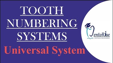 Tooth Numbering System | Universal System | Tooth Notation System