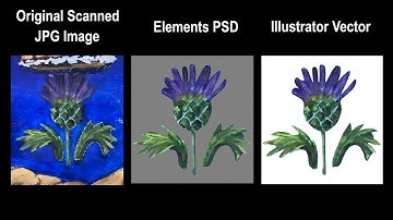 Cut Out Your Artwork and Transfer to Vector Images