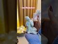 Cute Meesho decor #meeshofinds #meeshohaul #decor #roomdecor #unboxing #pinterest #aesaesthetic