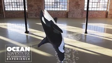 Ocean Adventure 3D Augmented Reality Content Pack for Large Screens by INDE