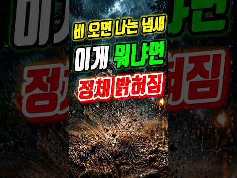 비 냄새의 진짜 정체, 흙에서 나온다? #신기한사실 #지오스민 #과학