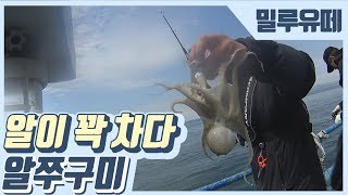 인천알쭈꾸미낚시 포인트 생존확인 [밀루유떼]