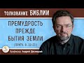 Премудрость прежде бытия земли (Притч. 8:22-23)  Профессор Андрей Сергеевич Десницкий