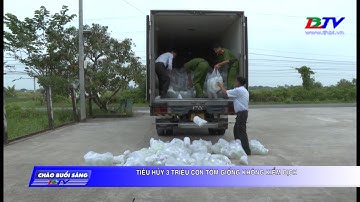 Bạc Liêu | Tiêu hủy 3 triệu con tôm giống không kiểm dịch