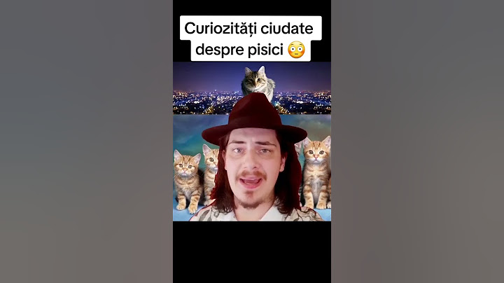 CURIOZITĂȚI DESPRE PISICI 😳