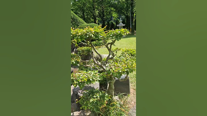 직장상사로20년,사회친구로20년지기ᆢ지금은?