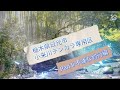 【栃木県小来川】Part II  不運な釣行編　　もう一つのテンカラ専用区に行ってみたが、こんなに不運な釣りってある？！　#テンカラ #渓流釣り #小来川