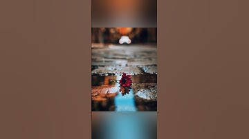 آيات من سورة النمل بصوت /القارئ اسلام صبحي 💙