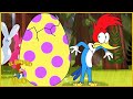 El Pájaro Loco en Español | Caza de Pascua | Compilacion | Dibujos Animados