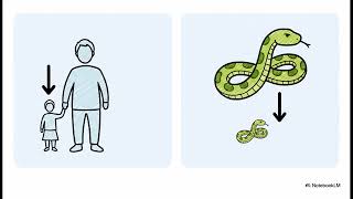 Lineage in Code: A Guide to Python Inheritance