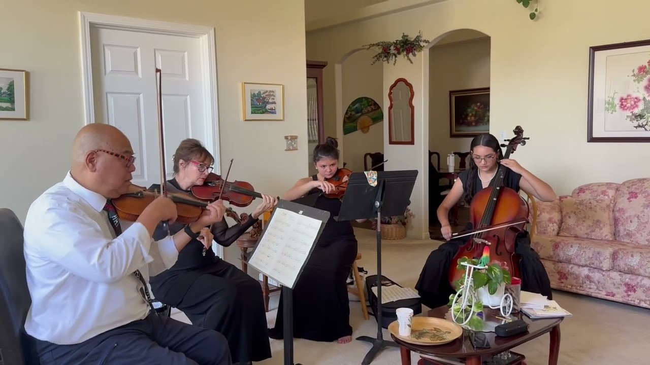 The Prayer, String Quartet, (As sung by Celine Dion & Andre Borcelli.)