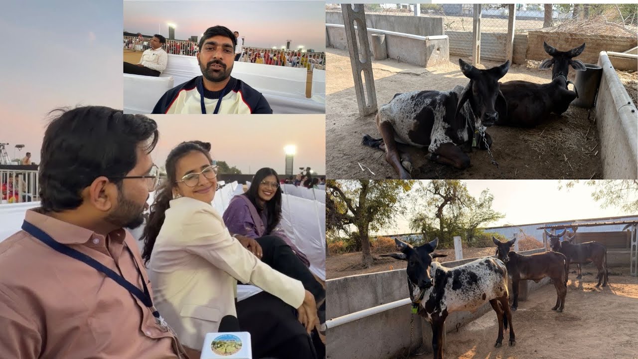 આજે વાવ થરાદ માં મોજ પડી ગઈ અને લાસ્ટ વિડિયો 🤔😢#bharattharanikankrejcow 