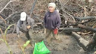 2026 Khotha Jalenbung Haosa In Agoi  Thing  Tu Na Vlog