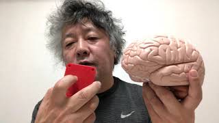 神はなぜいるのか? 神はなぜいるのか? (叢書コムニス 6) | パスカル ボイヤー