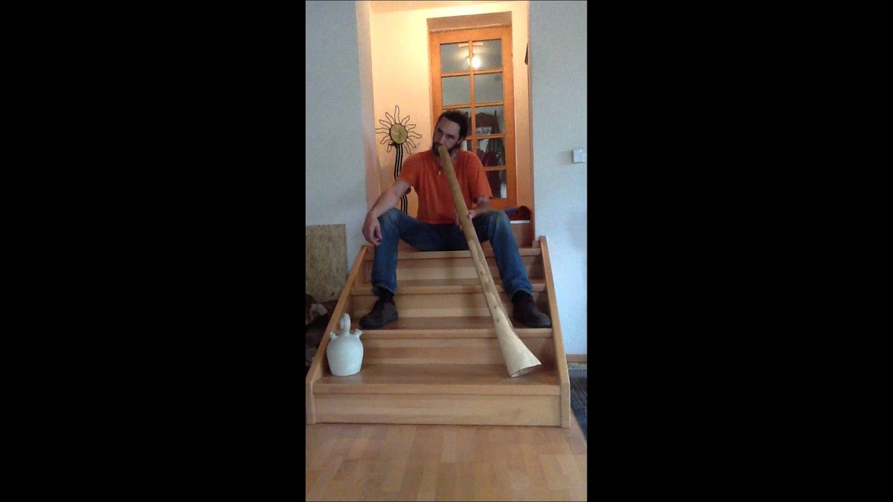 Eukalyptus Didgeridoo Natur
