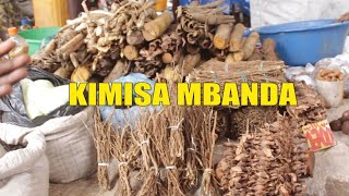 👉NZOTO MALILI : KINDINGU KIMISA MBANDA KIDIBA BA KISI YA BOKOKO BA MAMANS BA PANZI BA SECRET....