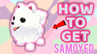 How To Get Samoyed Snow Fairy In Adopt Me Christmas Update