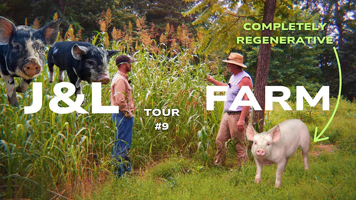 Raising Forested Pigs @ J & L Green Farm