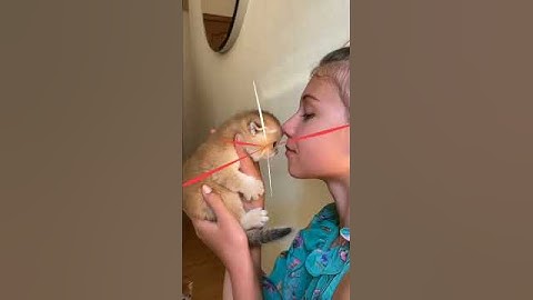 Diana and her Quarantine Morning Routine with Kitten|AWWW ANIMALS|#shorts